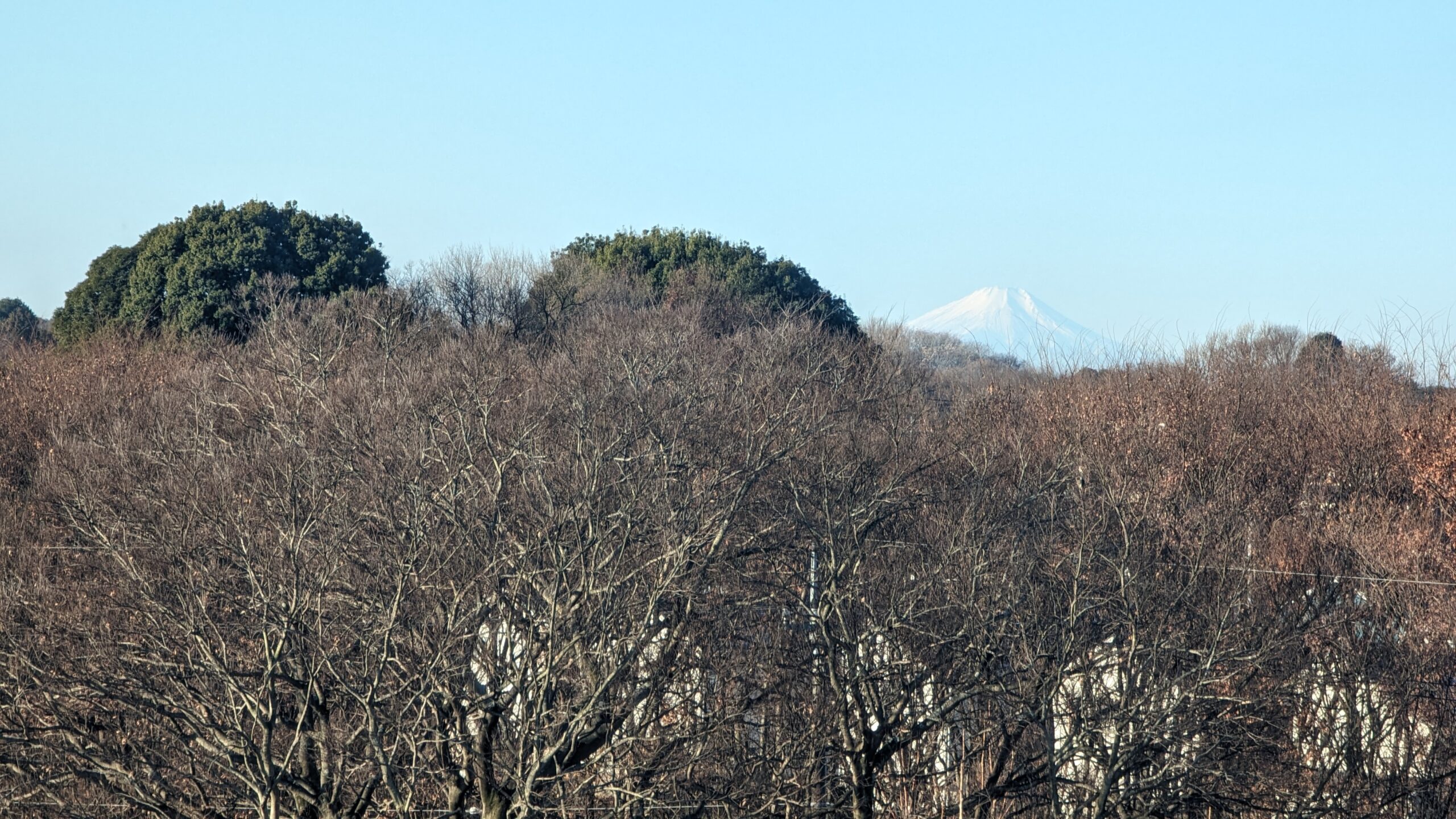 巣立山からの富士山(常総市巣立山公園)