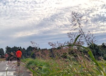 秋のジョギング(鬼怒川)