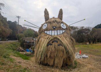 ６代目トトロ登場(立沢里山)