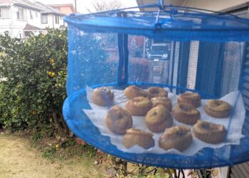 北守谷産柚餅子を作りました